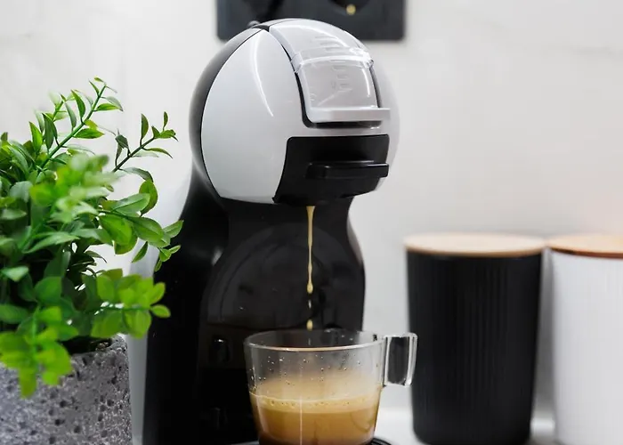 Elegant Urban In Center